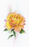 Набор для вышивания Aquarelle "Желтая роза" А-049