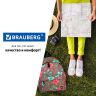 Рюкзак BRAUBERG универсальный, сити-формат, коричневый, "Мята", 20 литров, 41х32х14 см, 226417