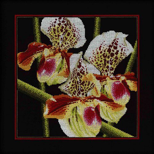Набор для вышивания крестом РТО "Орхидеи "Пафиопедилум" М263