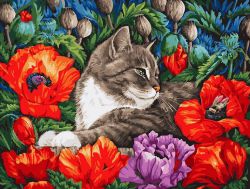 183-AS Картина по номерам Белоснежка "Кот в маках"