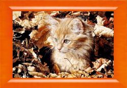 N-181 "Котёнок в листве" (PSP)