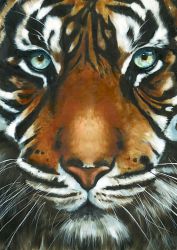 Ag 247 Алмазная мозаика Гранни "Взгляд тигра"