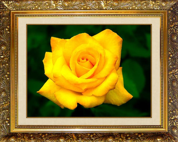 Алмазная мозаика Милато "Желтая роза" N-126