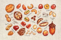 B1165 Набор для вышивания Luca-S "Орехи и семена"