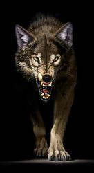Ag 2410 Алмазная мозаика Гранни "Преследующий волк"