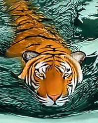 Ag 2413 Алмазная мозаика Гранни "Тигровые воды"