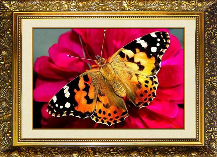Алмазная мозаика Милато "Бабочка Репейница" N-318